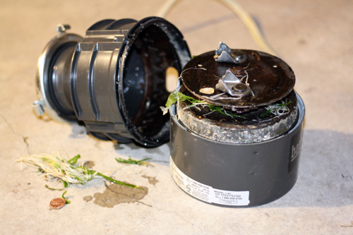 DIY Tutorial: How to Replace a Garbage Disposal